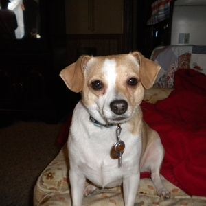 Meet your Posher, Karen